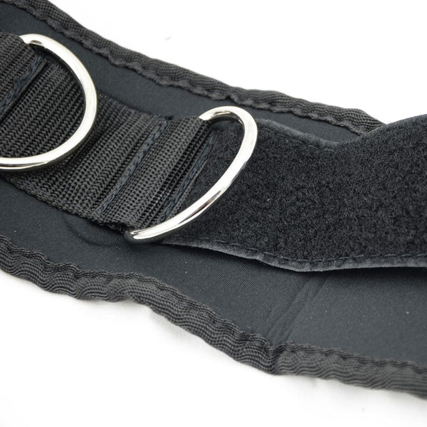 Fitness Adjustable Padded Training Belt